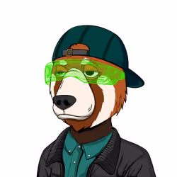 NotOkayBears #1132