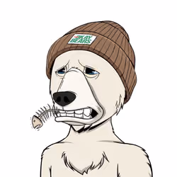 NotOkayBears #6402