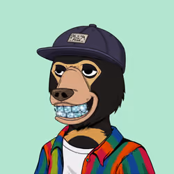 NotOkayBears #4397
