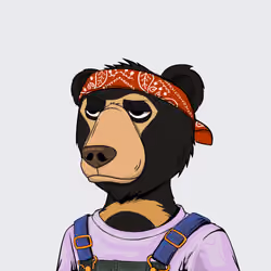 NotOkayBears #6417
