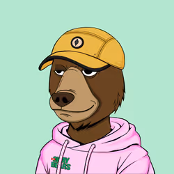NotOkayBears #6955