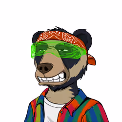 NotOkayBears #6029