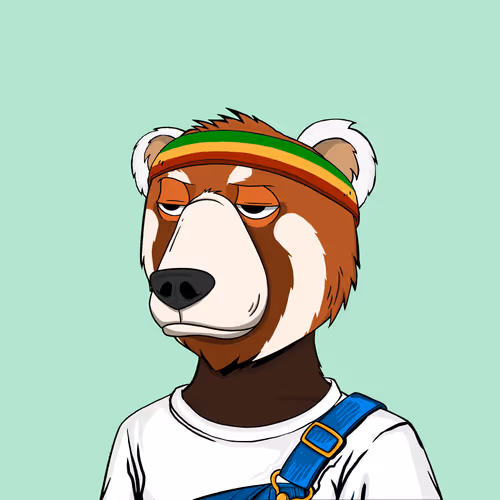 Not Okay Bears