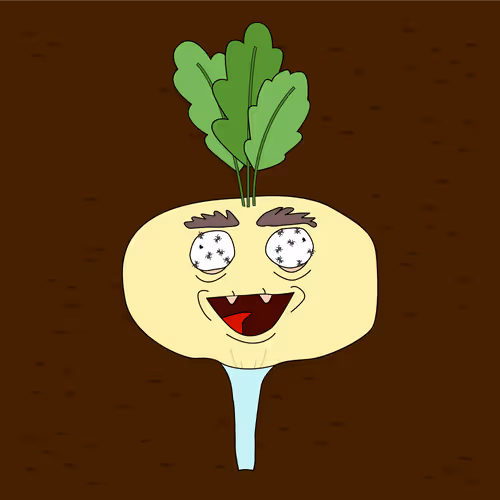 Realfaketurnips