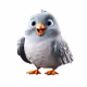 Baby Pigeon