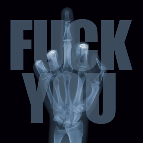 X Ray Anarchy By Nick Veasey