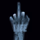 X-Ray Anarchy by Nick Veasey