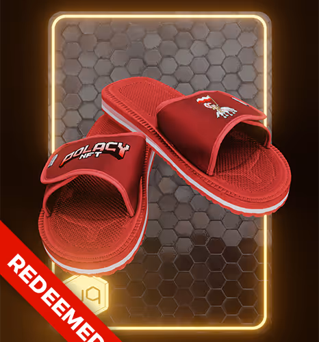 The Polacy NFT Klapek S42 [Redeemed] #3