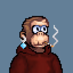 Monke #1841