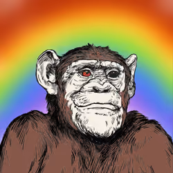 Primate Social Society #6935