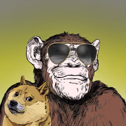 Primate Social Society #5773