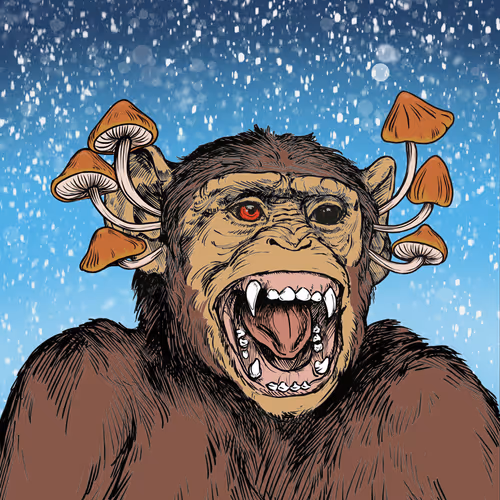 Primate Social Society Official