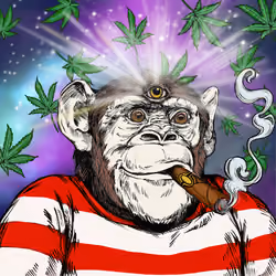 Primate Social Society #3415