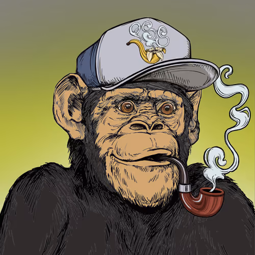 Primate Social Society #6498
