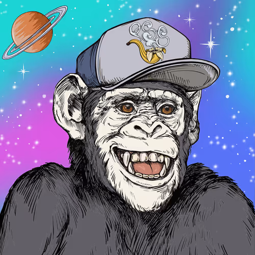Primate Social Society #9978