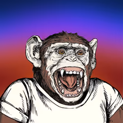 Primate Social Society #5691