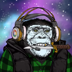Primate Social Society #1062