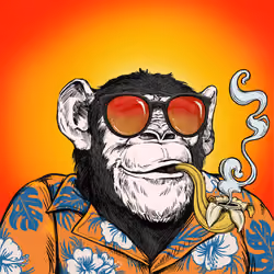 Primate Social Society #6707