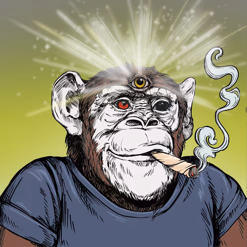 Primate Social Society Official