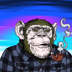 Primate Social Society #8984