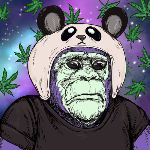 Primate Social Society Official