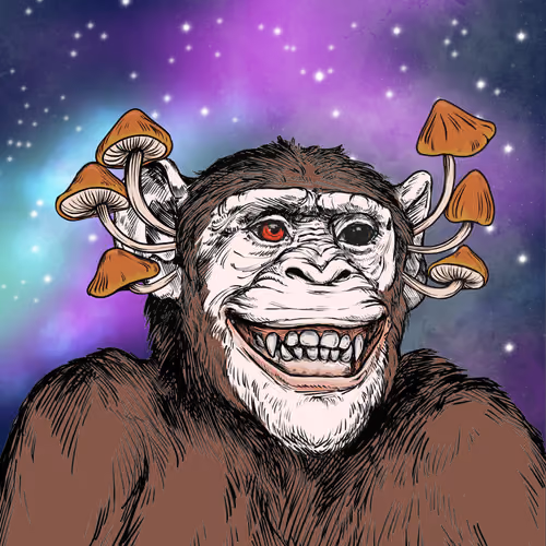 Primate Social Society #9370