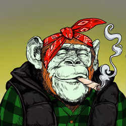 Primate Social Society #1865