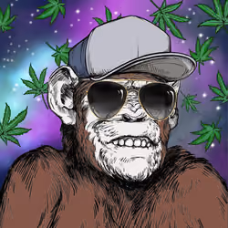 Primate Social Society #8023