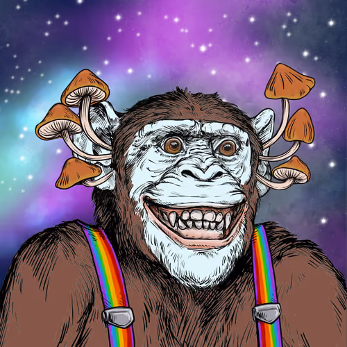 Primate Social Society #9658