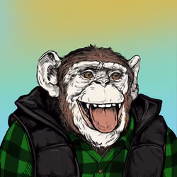 Primate Social Society #8739