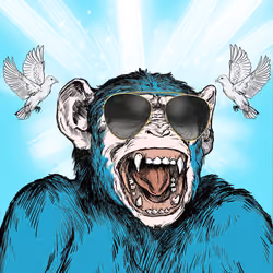 Primate Social Society #5678