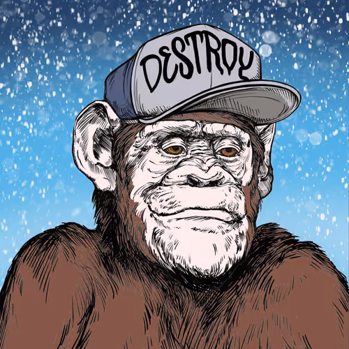 Primate Social Society #9995
