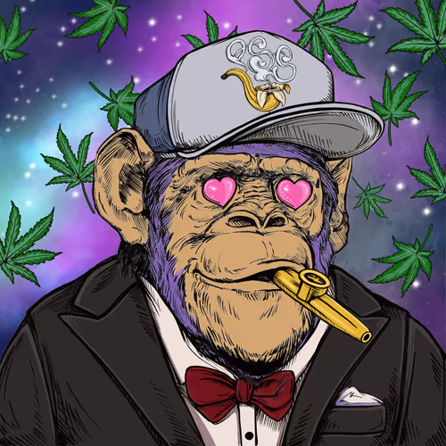 Primate Social Society Official