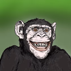 Primate Social Society #5013