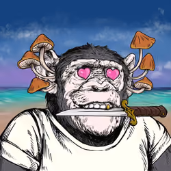 Primate Social Society #289