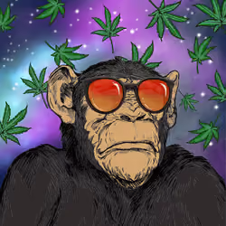 Primate Social Society #6977