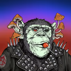 Primate Social Society #9817