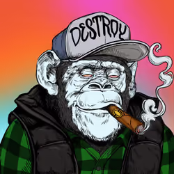 Primate Social Society #6568