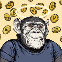 Primate Social Society #526