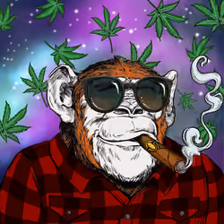 Primate Social Society #3425
