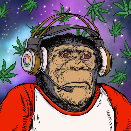 Primate Social Society Official