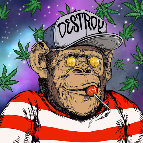 Primate Social Society #114