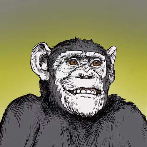 Primate Social Society #9957