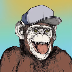 Primate Social Society #6041