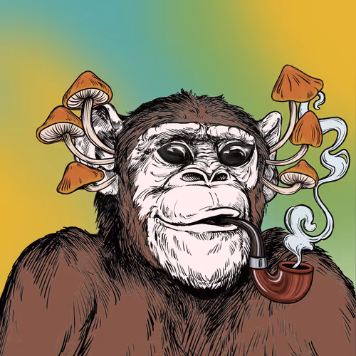 Primate Social Society Official