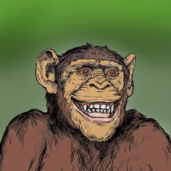 Primate Social Society #5014