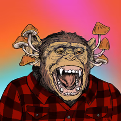 Primate Social Society #4811
