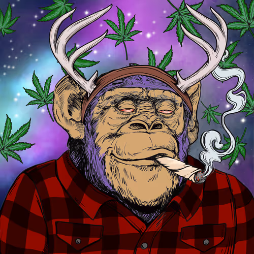 Primate Social Society Official