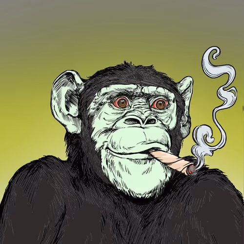 Primate Social Society #5745