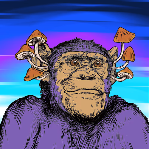 Primate Social Society #9416